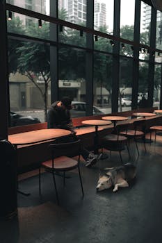 A serene urban café scene with a man sitting and a dog lying down in San Diego.