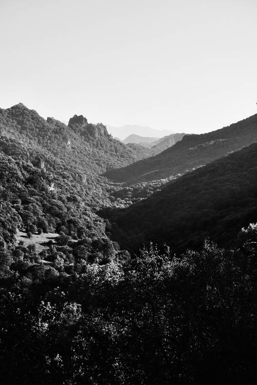 Free Monochrome view of a serene forest valley with distant mountains. Stock Photo