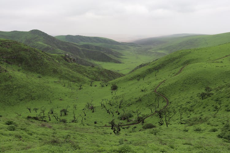 Aerial View Of Lachay Hills