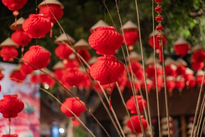 Red lanterns strung above a night festival — photo by Tuấn Kiệt Jr. on Pexels