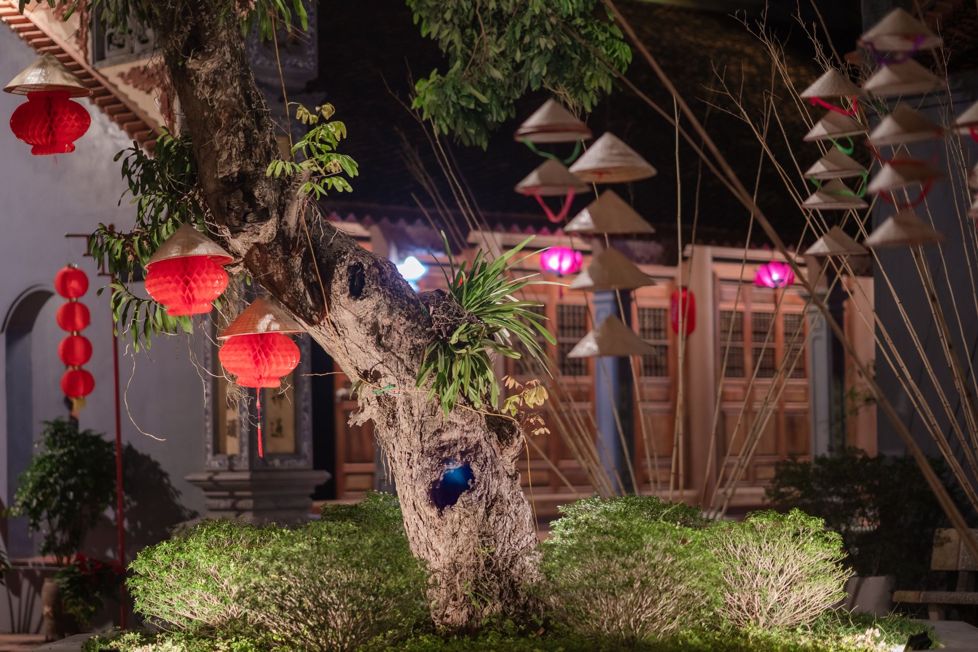 Nighttime scene of decorative lanterns and plants in an Asian garden setting.