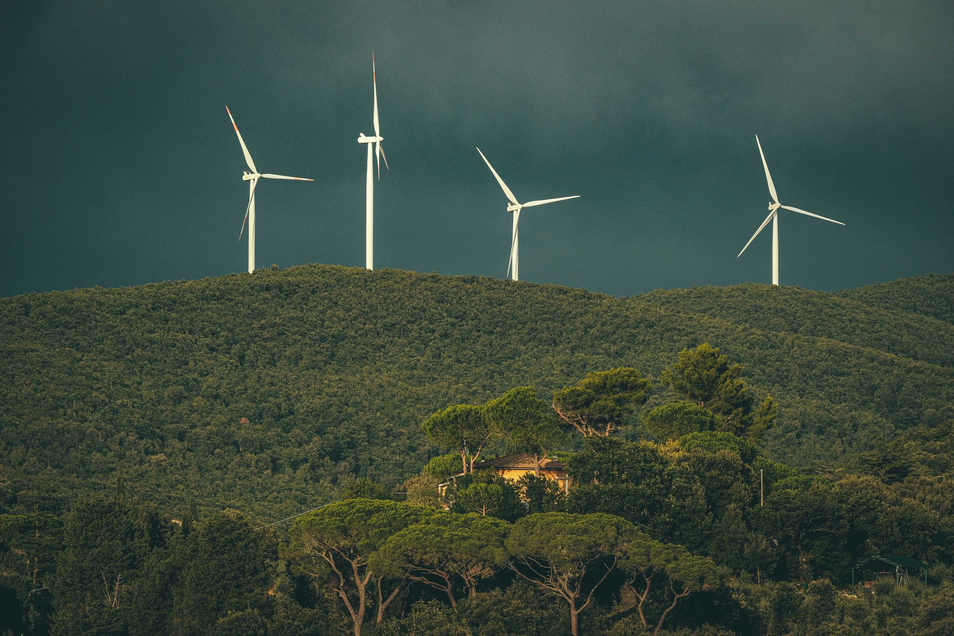 Wind turbines stand above lush green hills, showcasing renewable energy in nature.