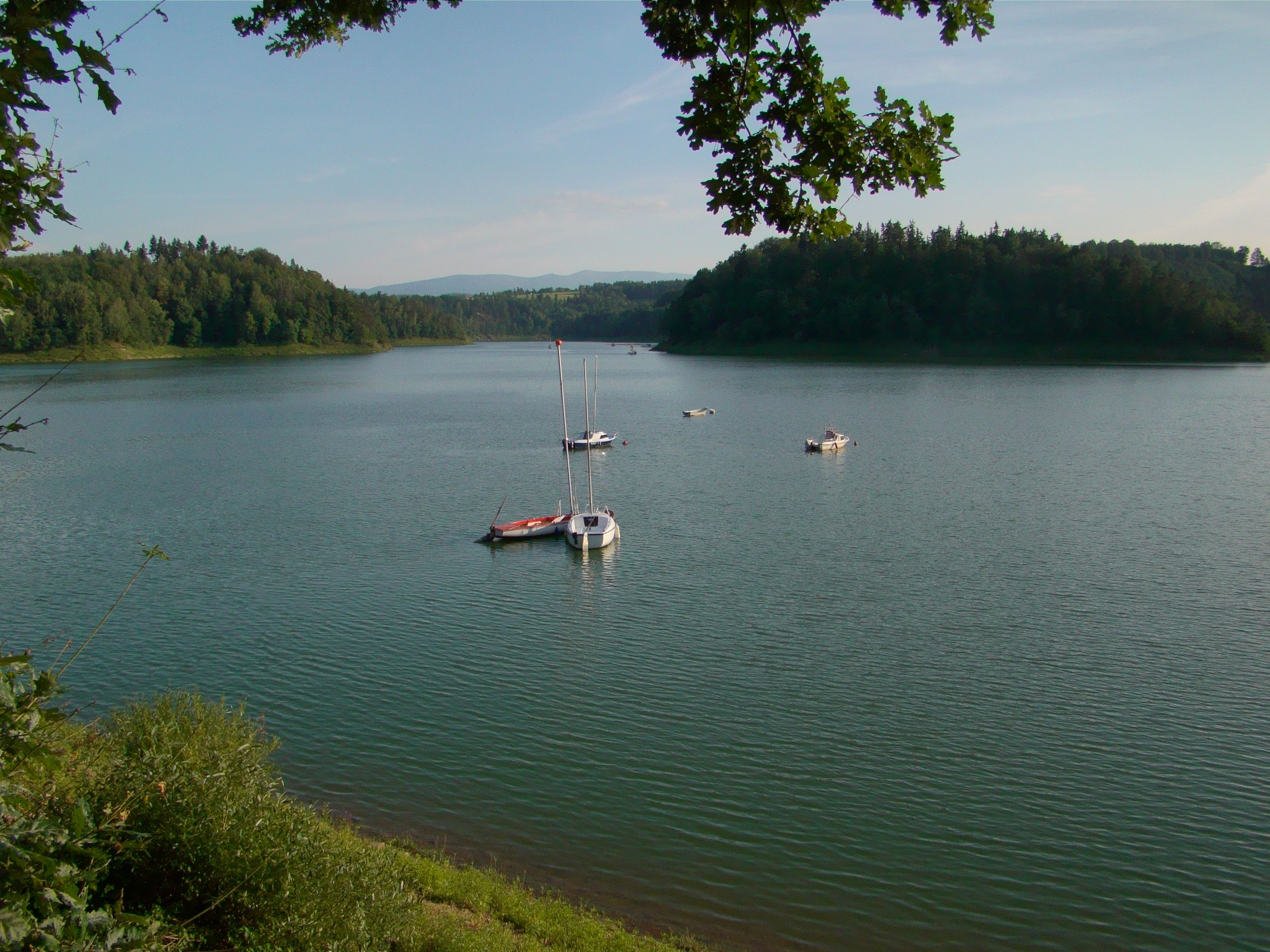 White Boats on Body of Water · Free Stock Photo