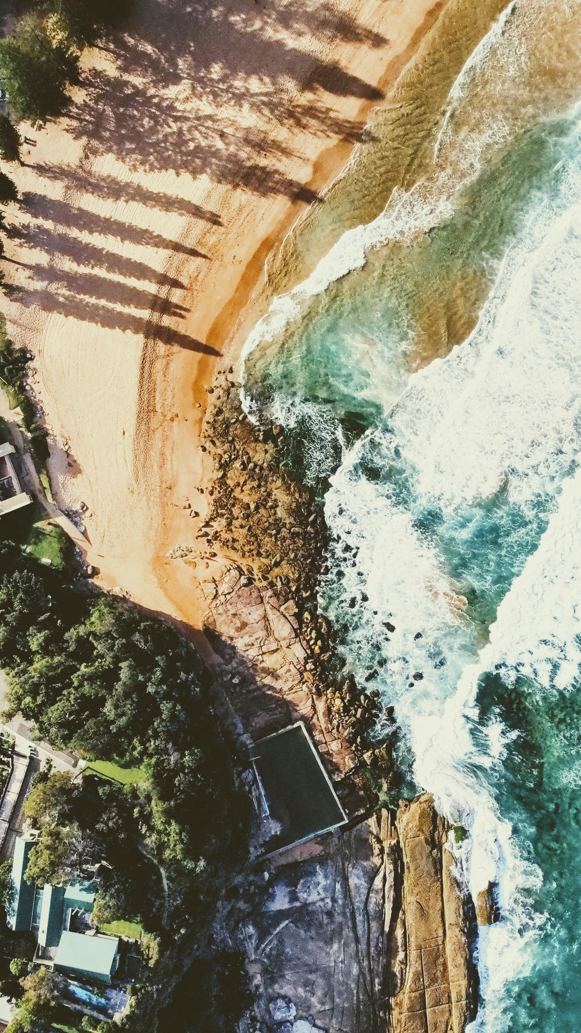 Dude On Beach Photos, Download Free Dude On Beach Stock Photos & HD Images