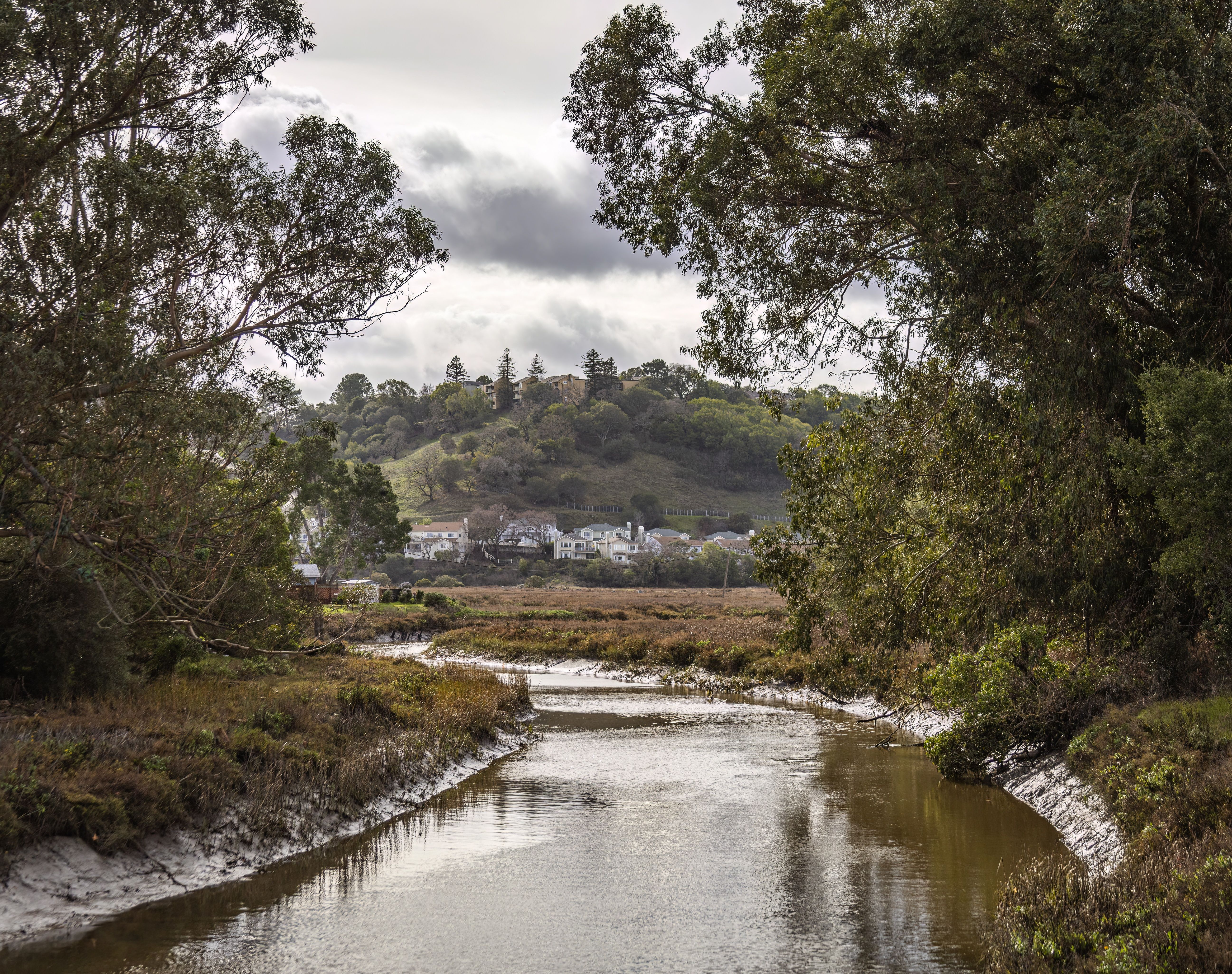Walk the Liesbeek River green corridor