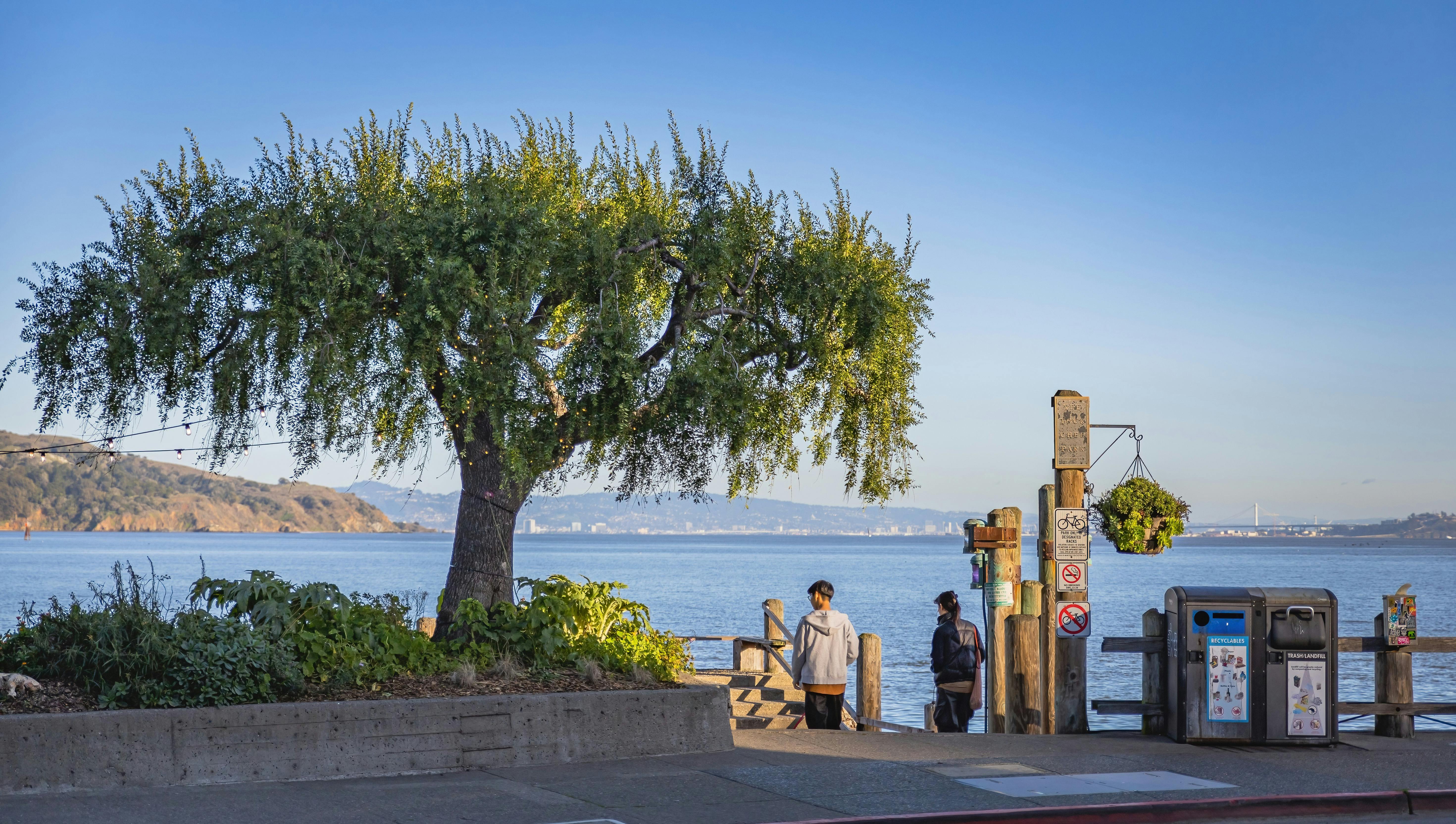 Mua kệ trưng bày tại Quận 1 - Giải pháp tuyệt vời cho không gian bán hàng