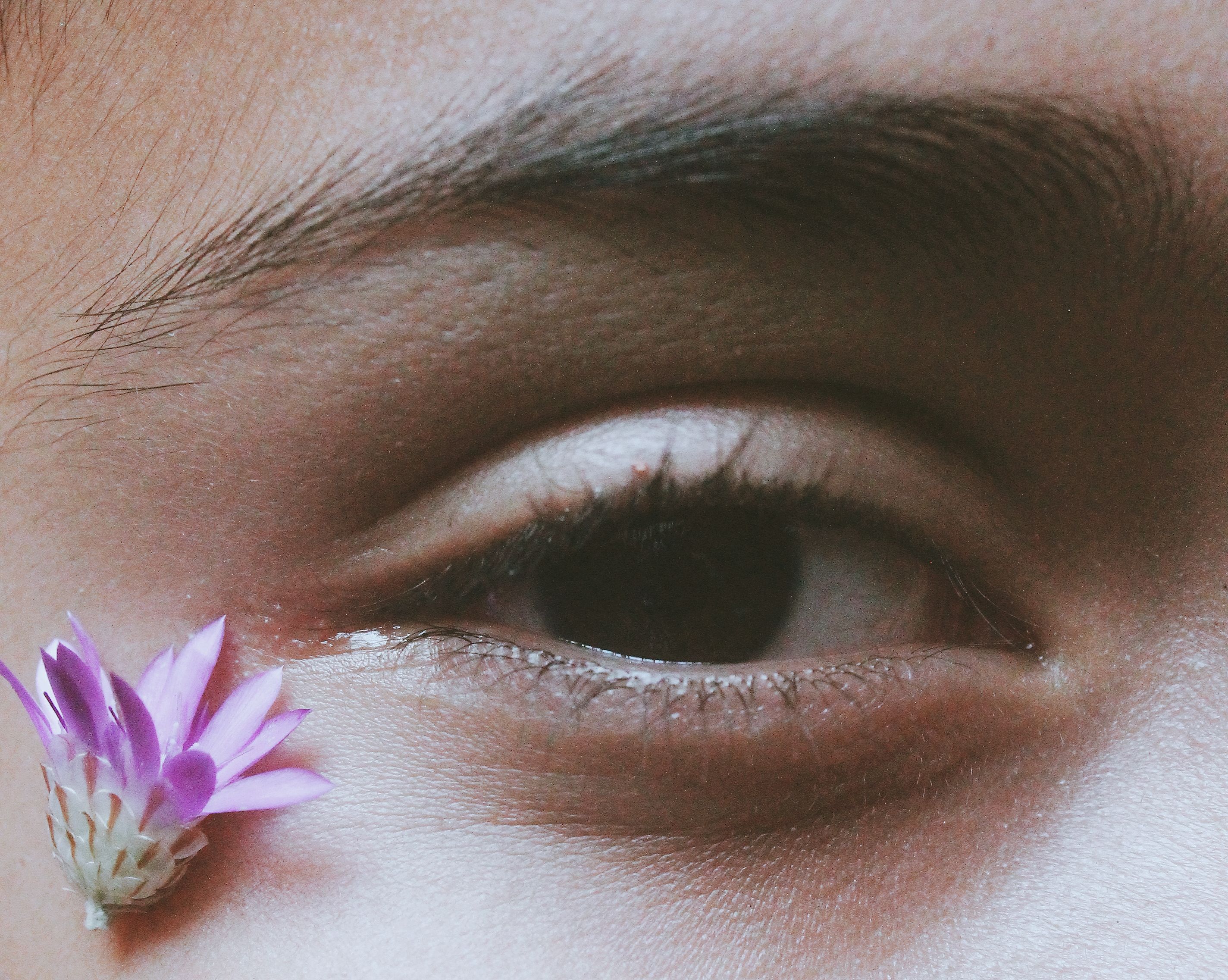 Artistic close-up of an eye with a pink flower petal creating a natural embellishment.