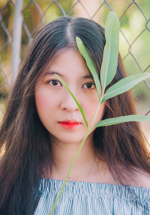 Ilmainen kuvapankkikuva tunnisteilla aasialainen nainen, aasialainen tyttö, henkilö