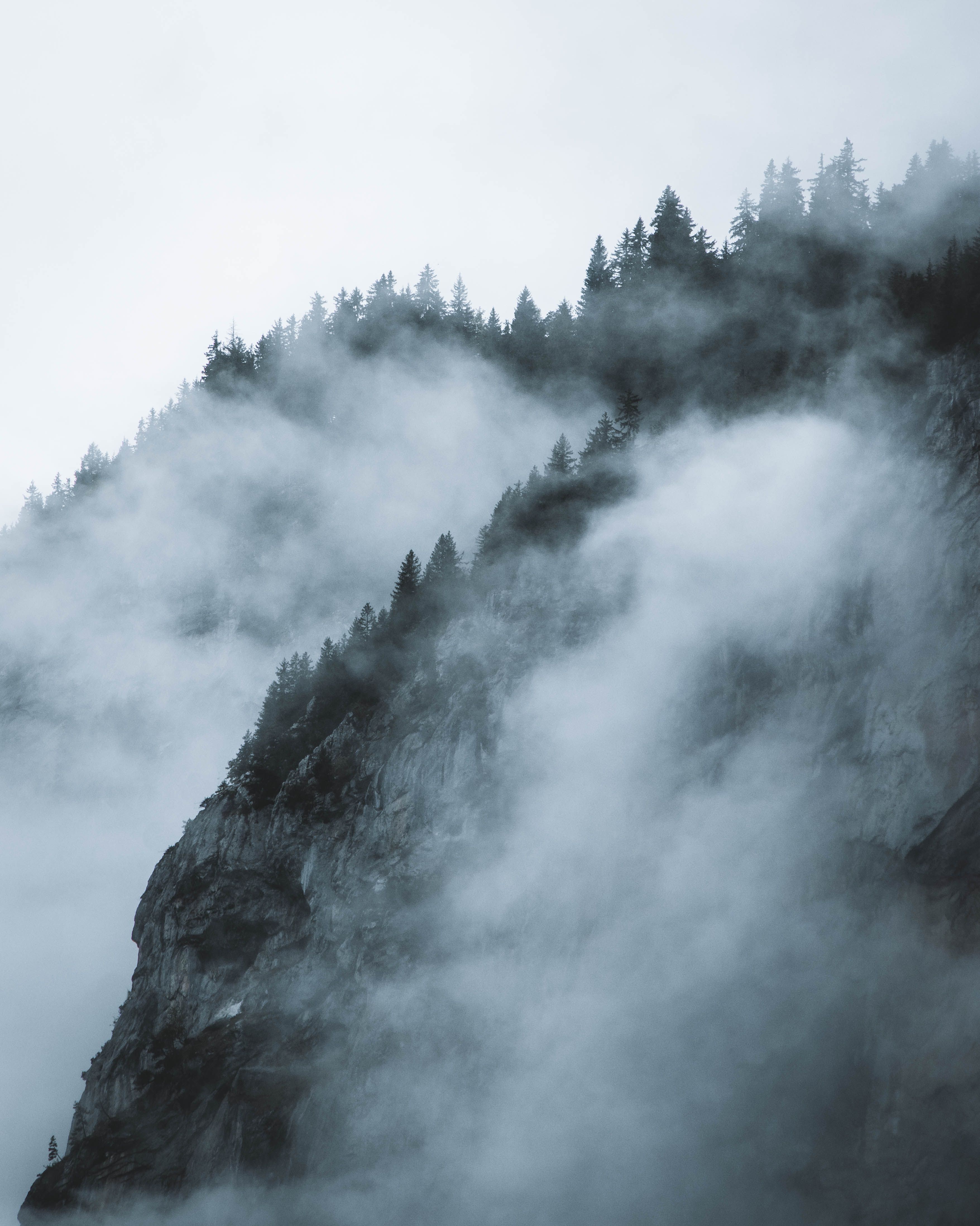 Foggy Mountain Landscape · Free Stock Photo