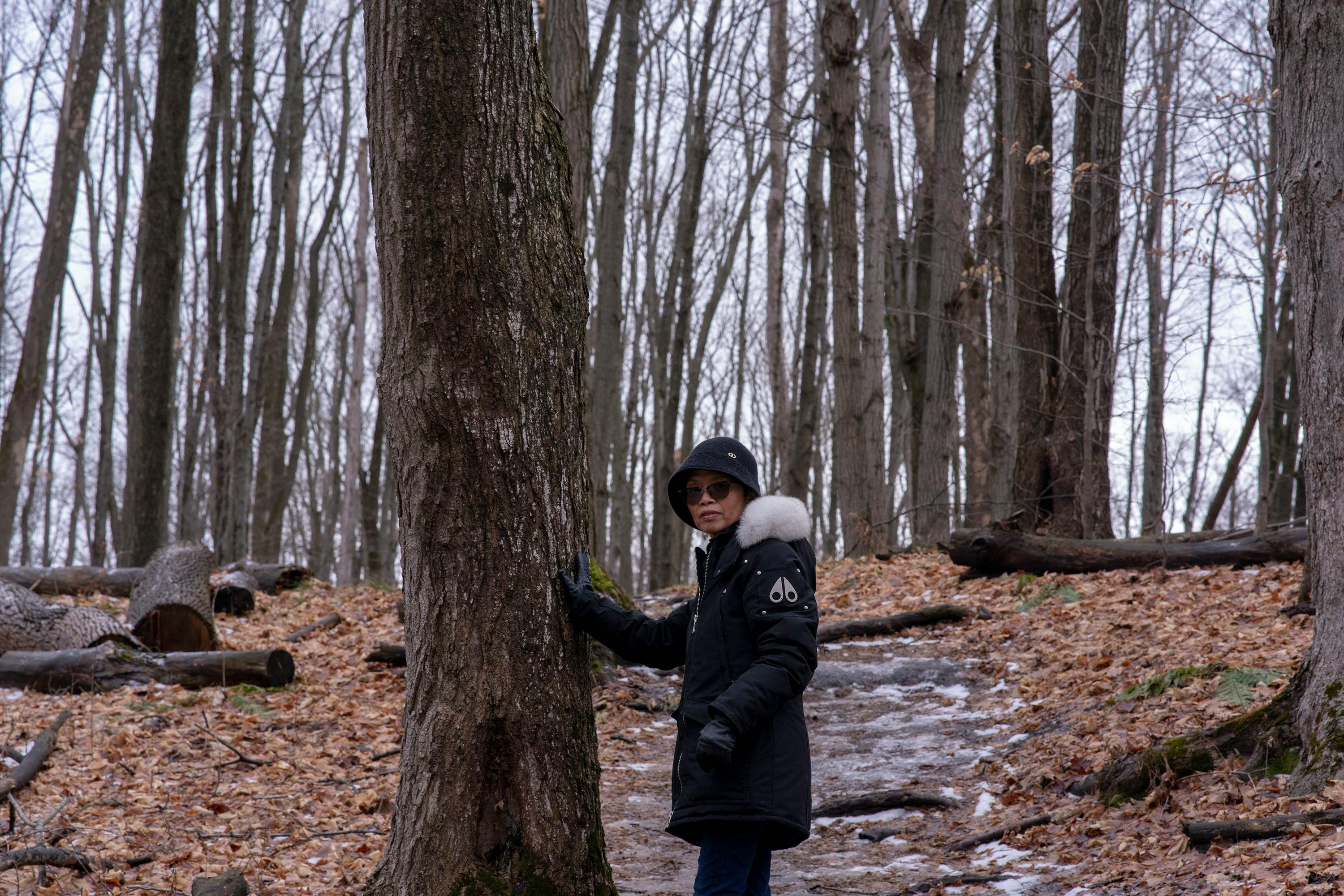A Woman Wearing Winter Clothing in a Forest · Free Stock Photo