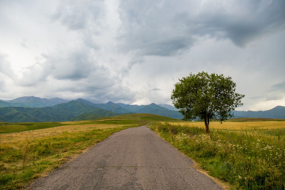 Side Rode Rural Side Road · Free Stock Photo