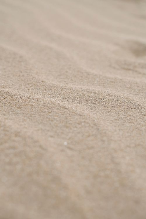 Golden Sand Dunes Sparkle Under Sunlight · Free Stock Photo
