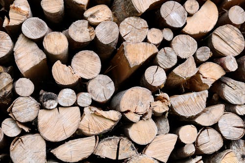 Free Close Up Photo of Stacks of Firewoods Stock Photo