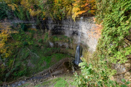 Immagine gratuita di acqua, alberi, autunno