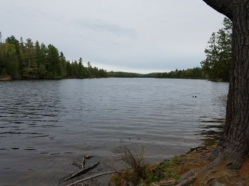 Free A serene lakeside scene with calm water and an overcast sky, surrounded by lush trees. Stock Photo