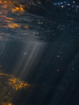 Sunlight beams penetrate deep ocean waters, illuminating the underwater environment.