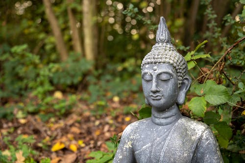 Kostnadsfri bild av anläggning, betong, buddha