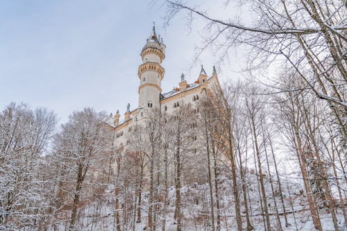 Neuschwanstein Castle behind Trees in Winter