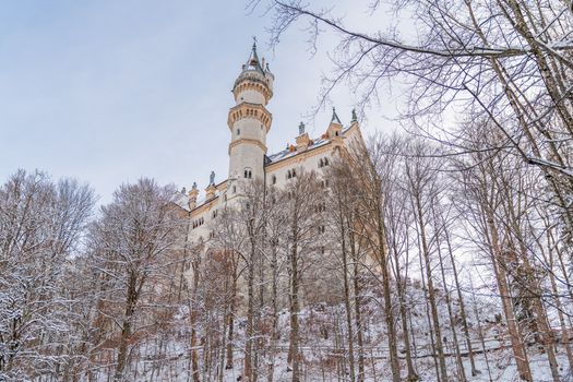 Neuschwanstein Castle before the coaches — Munich