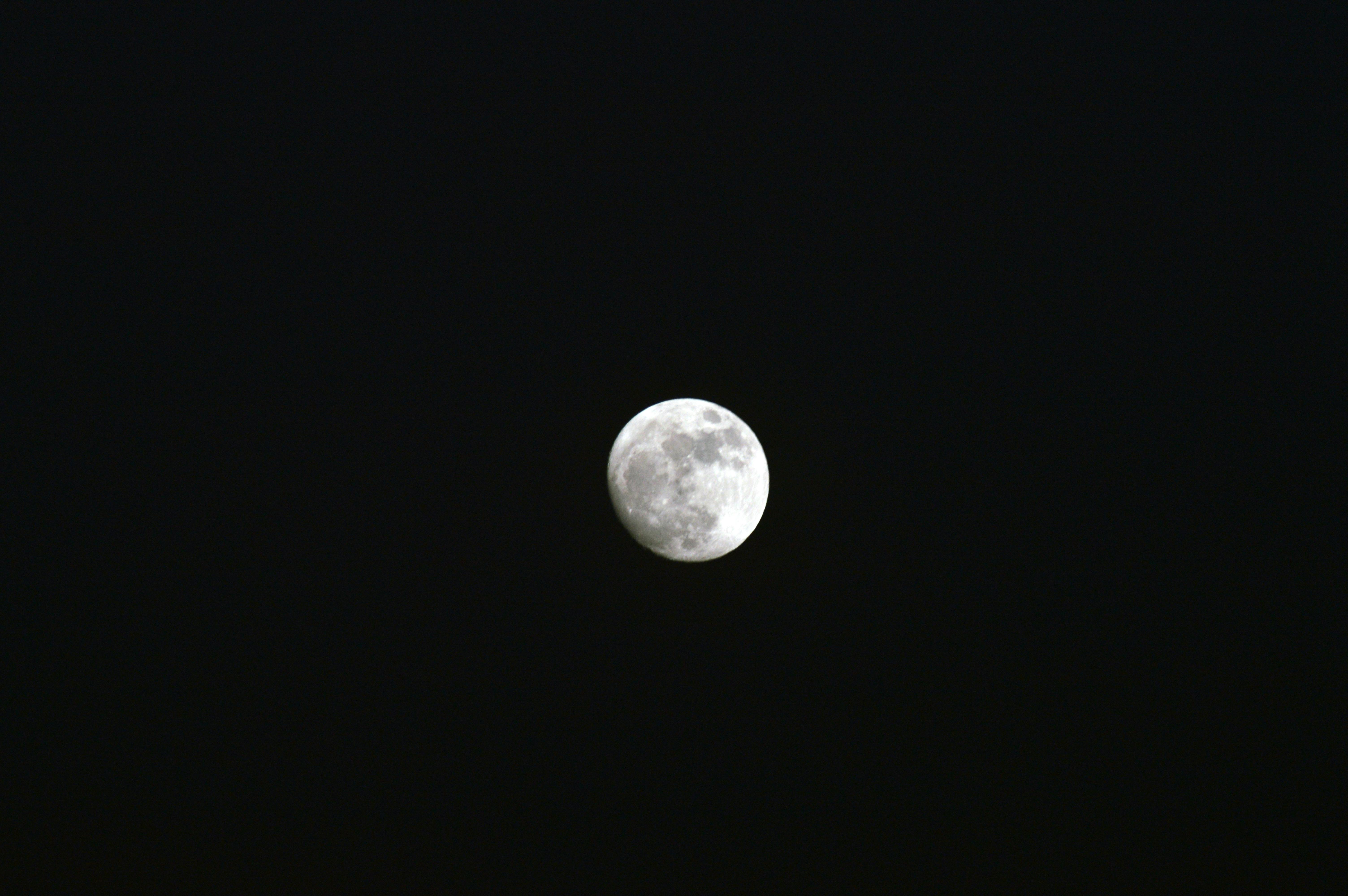 Free stock photo of bright moon, full moon, moon