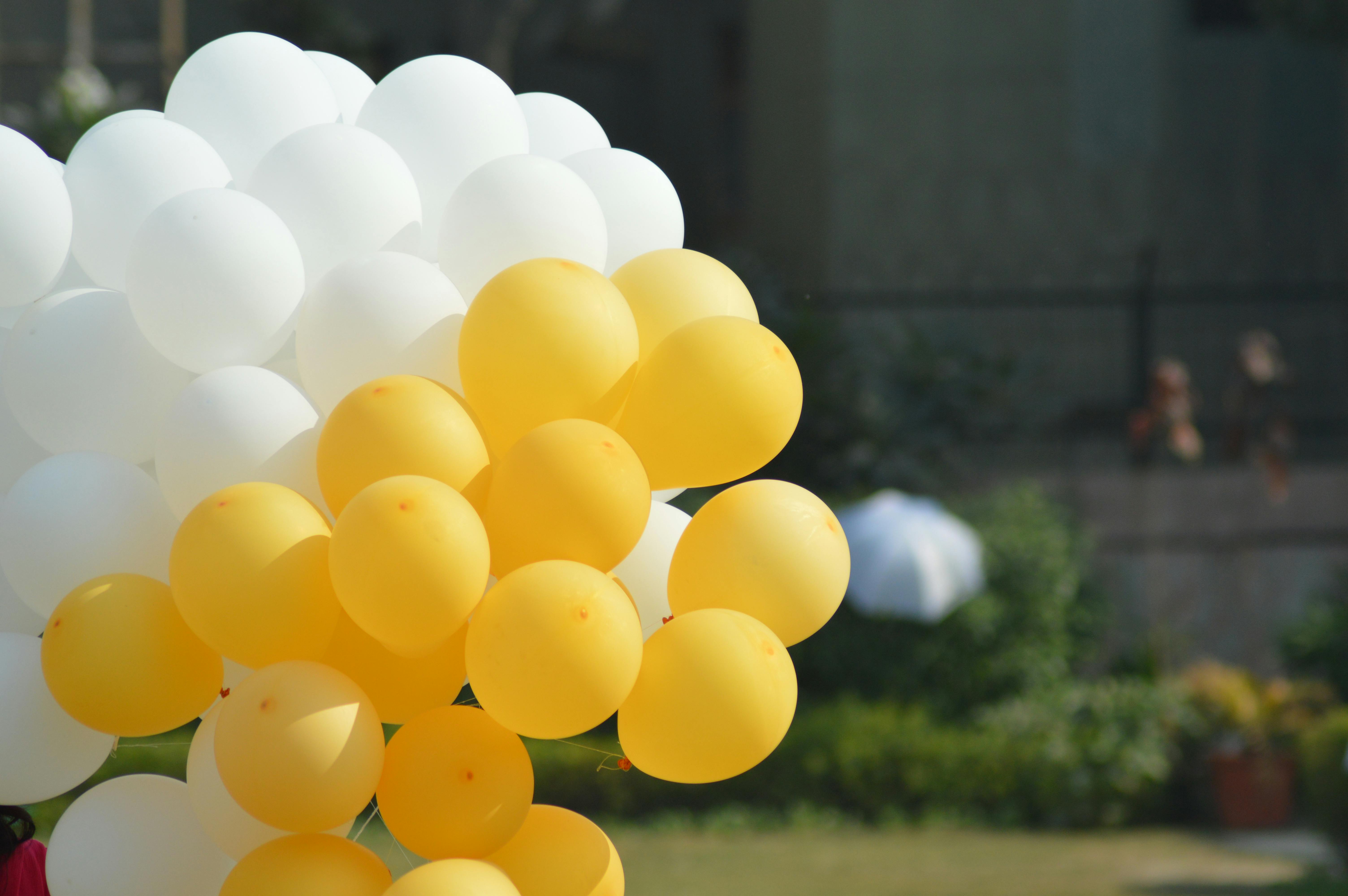 Free stock photo of balloon, balloons, white balloons