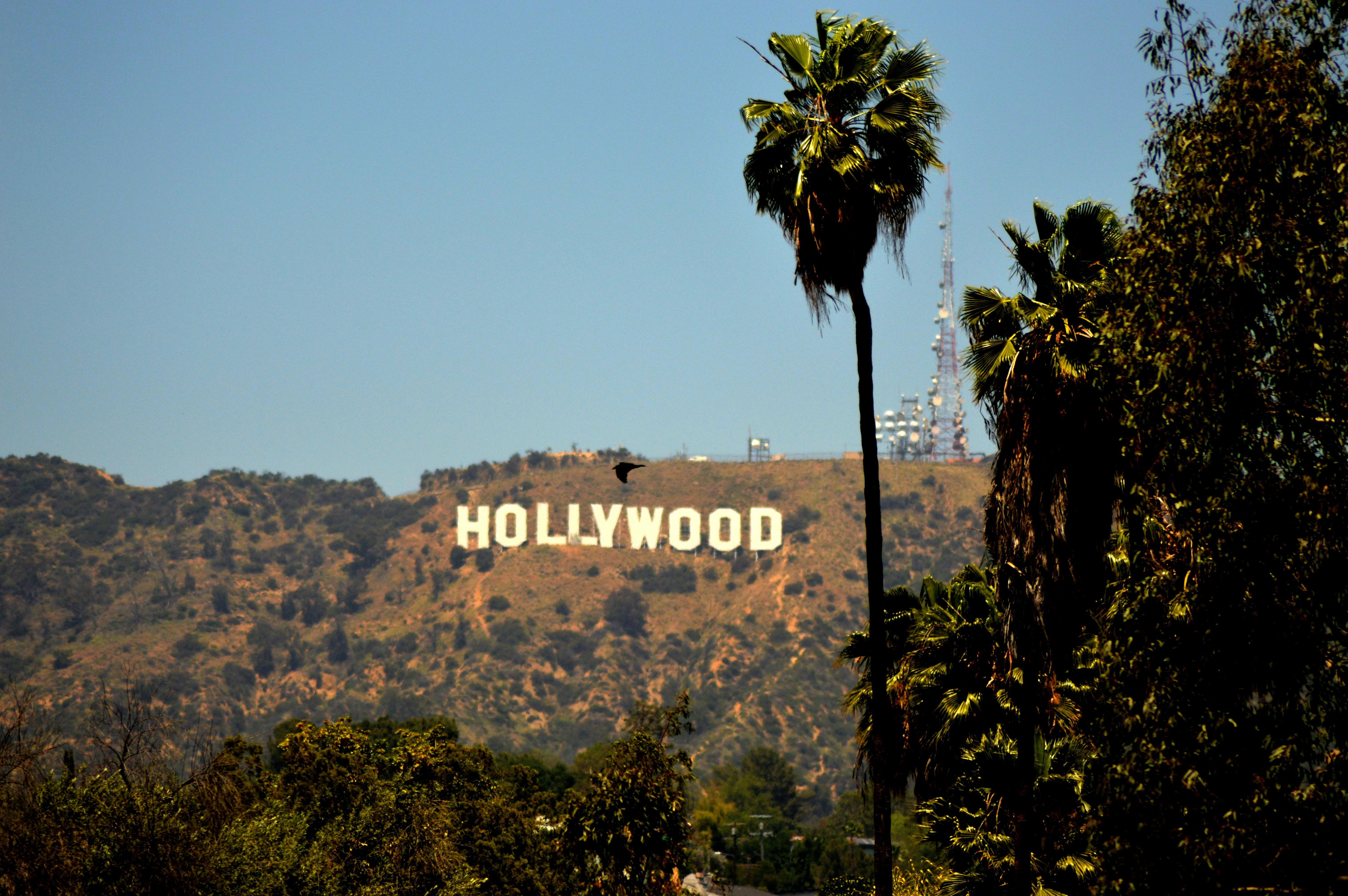 Free Stock Photo Of Beverly Hills, Hollywood, Universal Studio