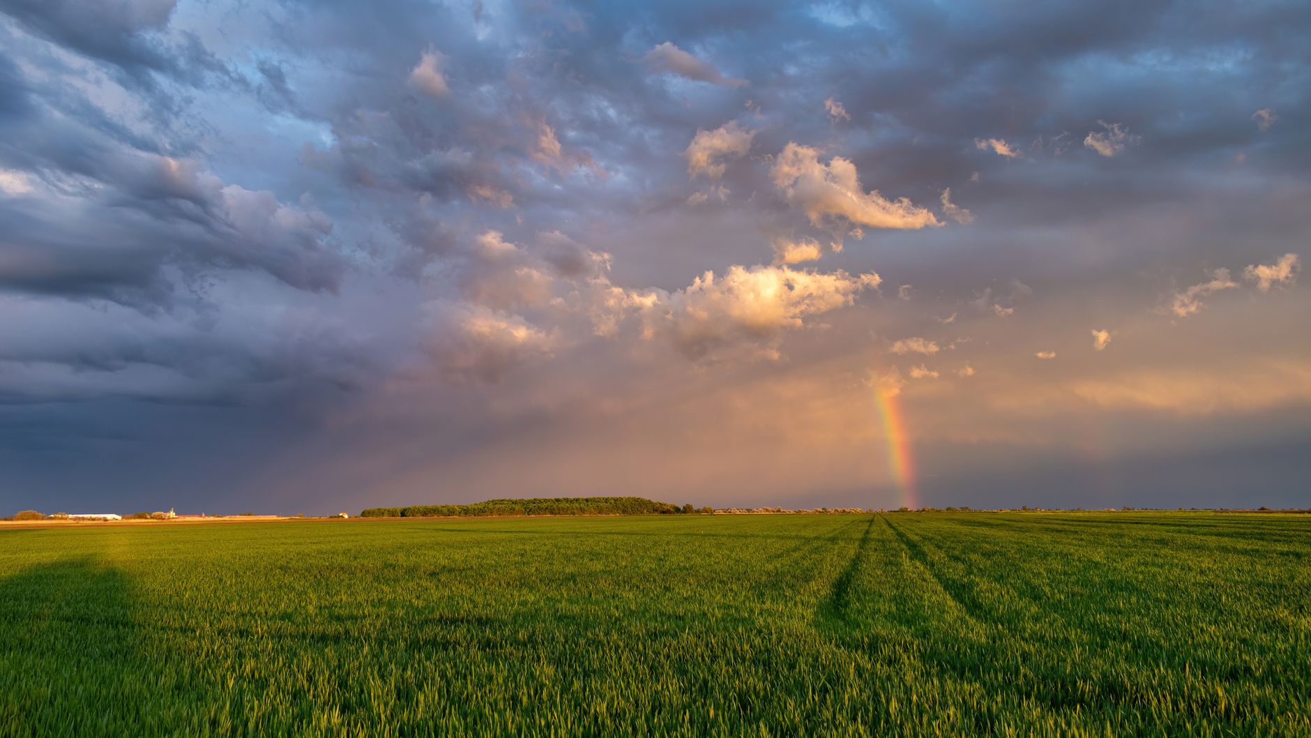 Expansive green field under a dramatic sky with a rainbow after the rain, capturing nature's beauty.