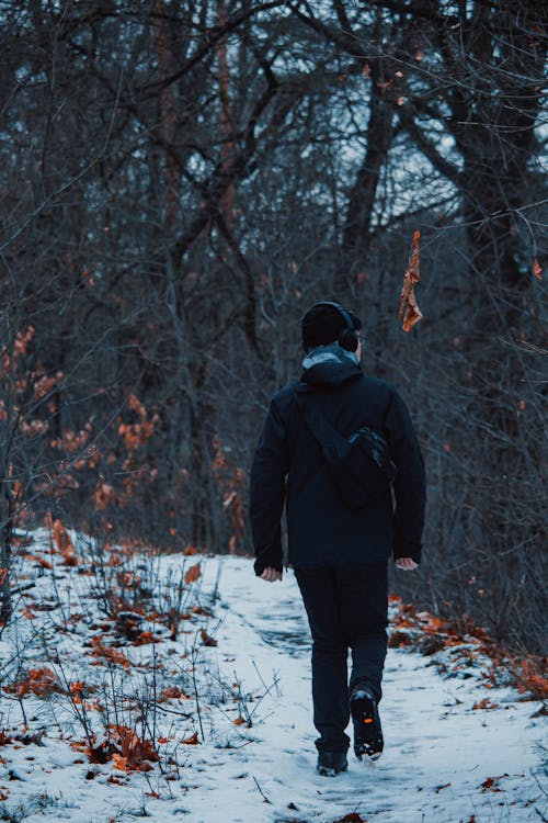 Man in Jacket Walking on Footpath in Forest in Winter