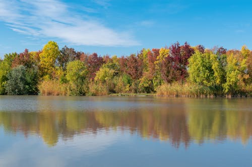 grátis Foto profissional grátis de água, árvores, beira do lago Foto profissional