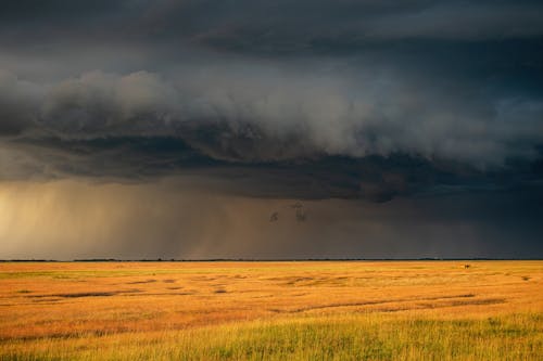 Foto stok gratis alam, angin ribut, bentangan awan