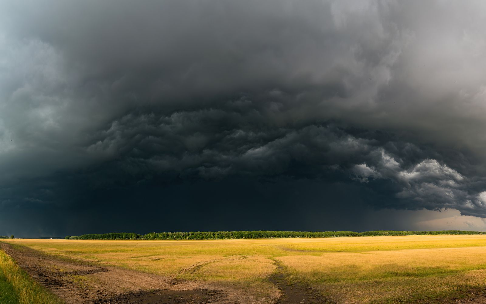 Weather