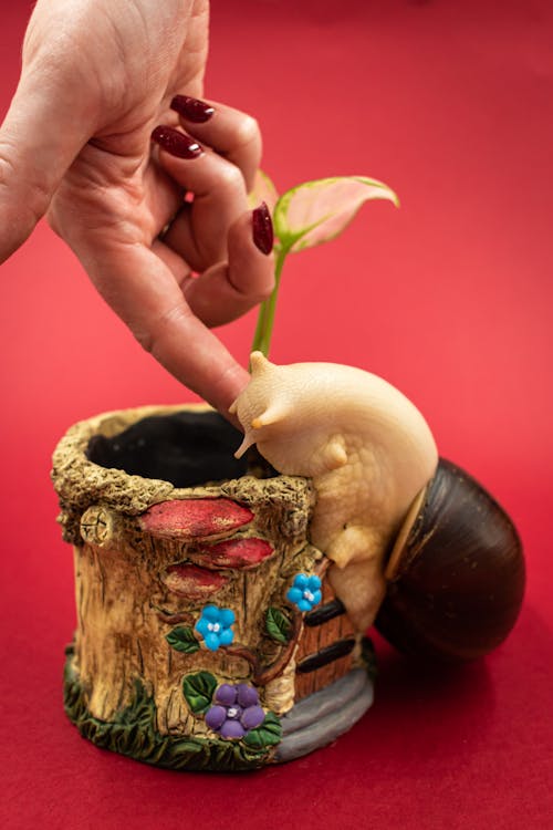 Hand Touching Snail Climbing Flower Pot
