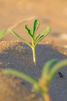 Image by Mustafa  Baarouss