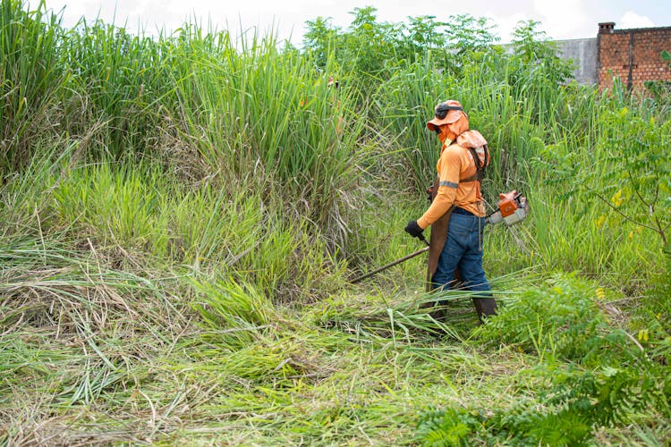 Person Cutting Grass With A Grass Cutter