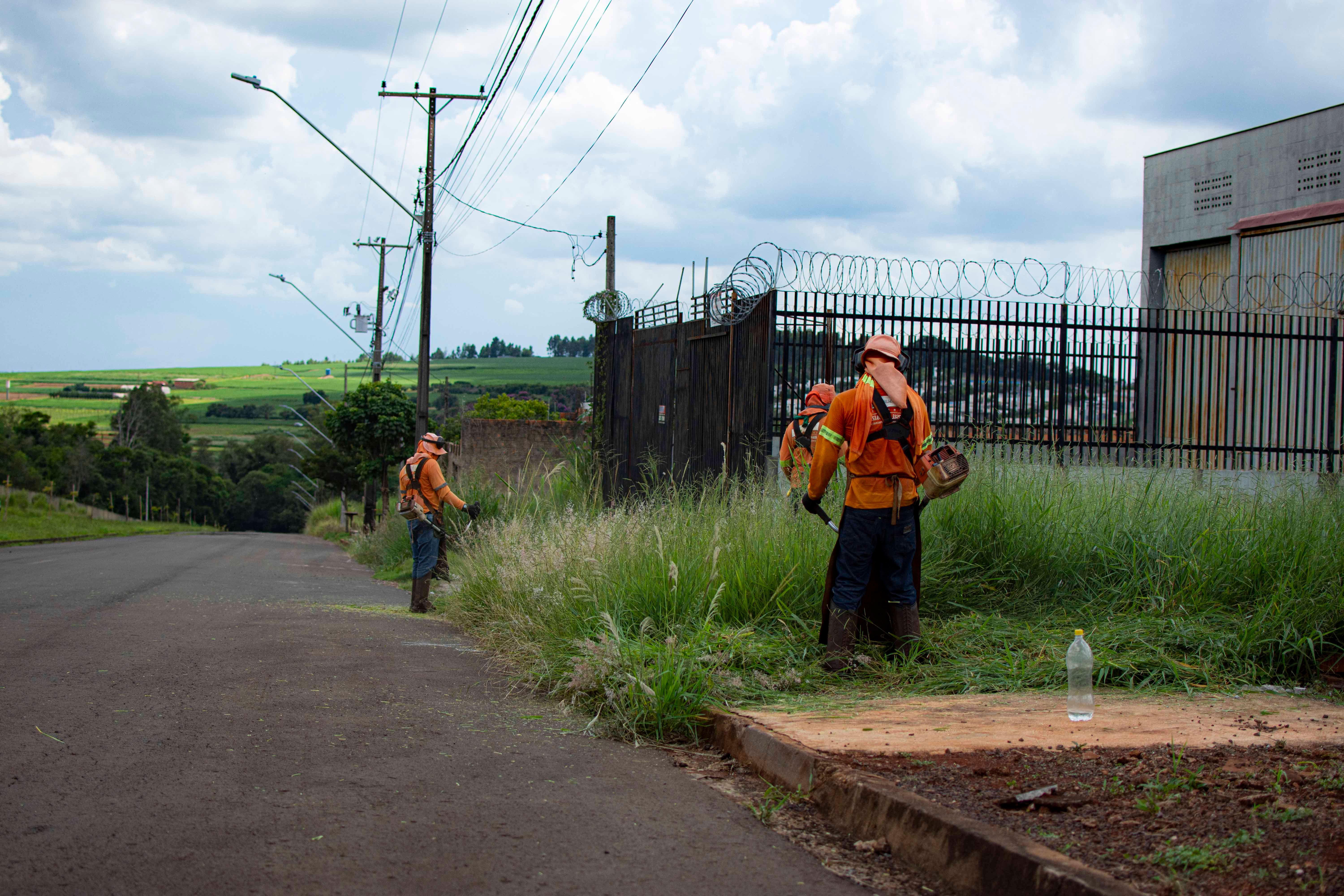 Free People Cutting Grass Along an Asphalt Road Stock Photo