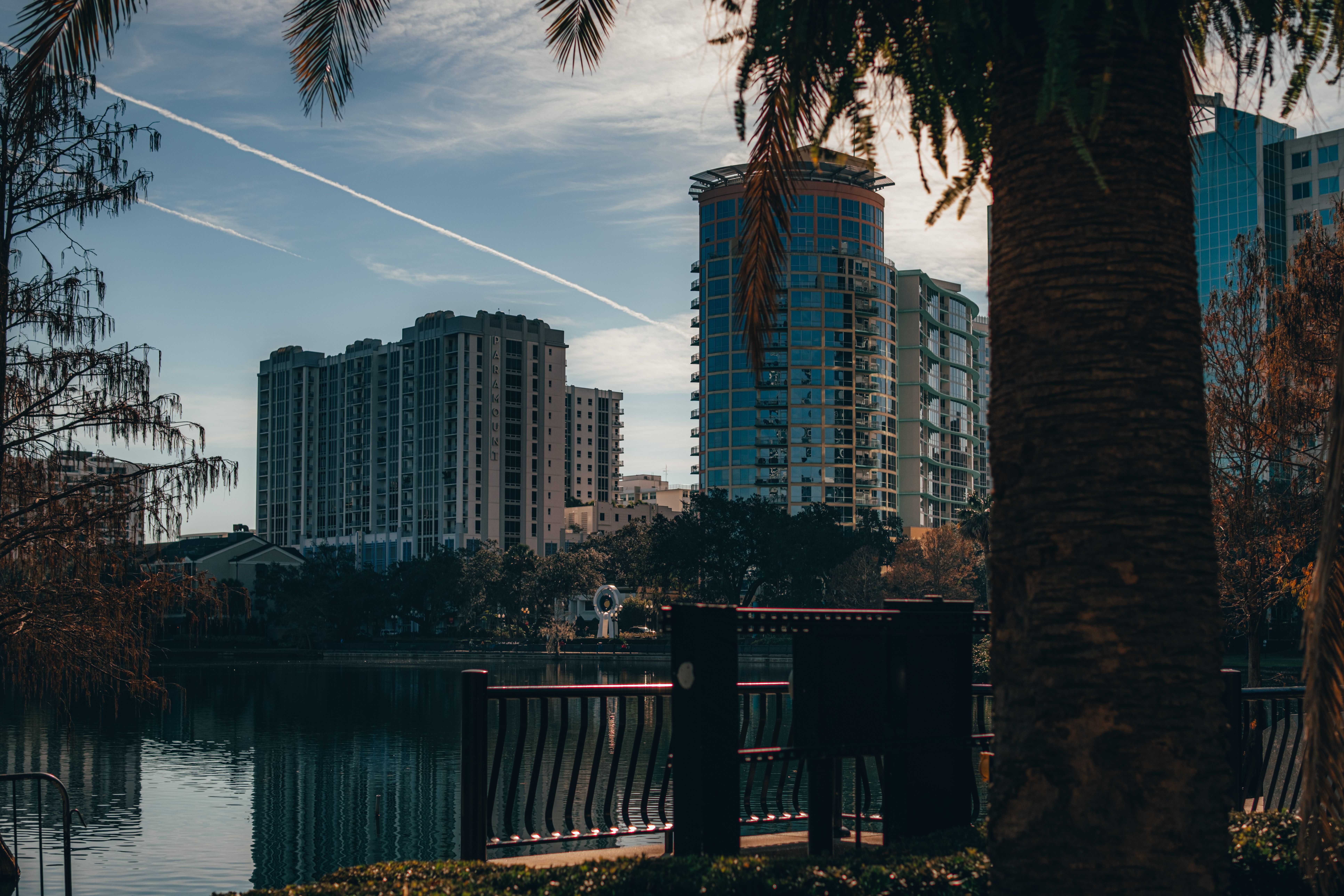 Lakefront Orlando towers with palms in the foreground