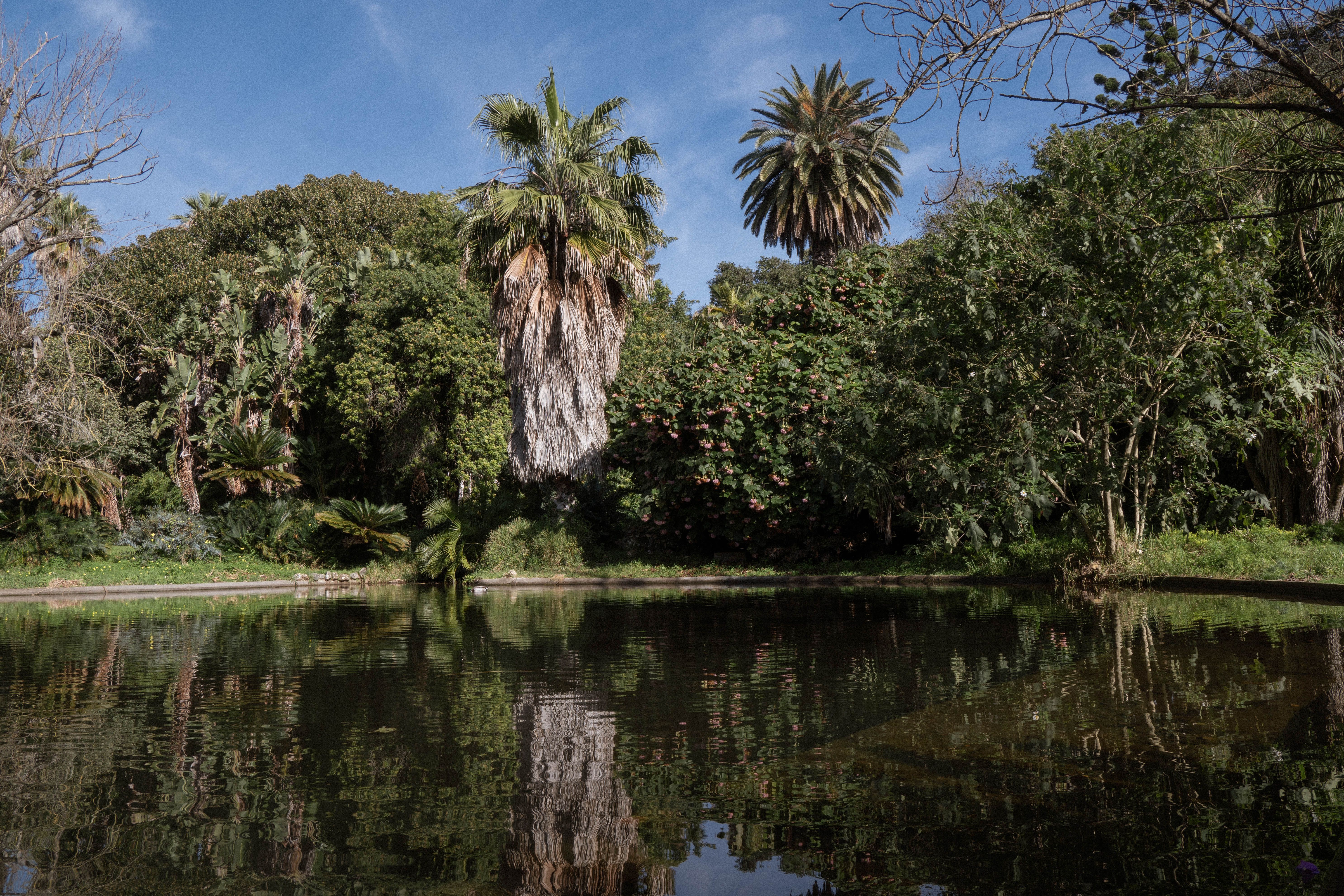 National Garden Athens pond trees peaceful