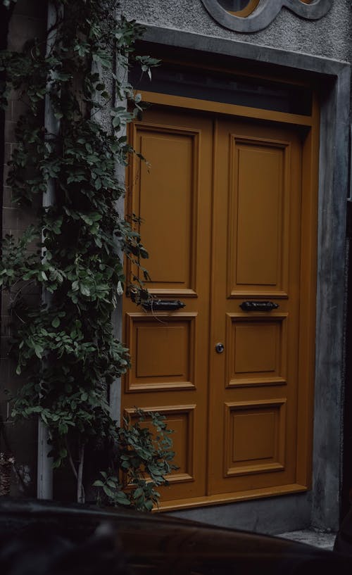 Photo of the Brown Door 