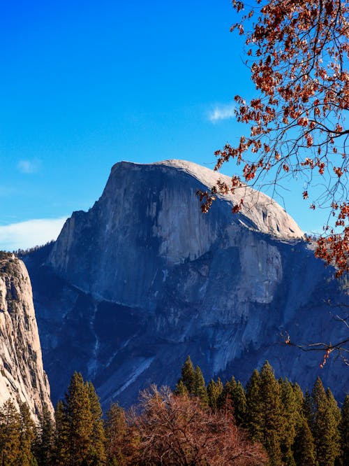 Gratis lagerfoto af californien, køretur, usa