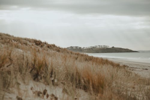 ビーチ, ミスト, 丘の無料の写真素材
