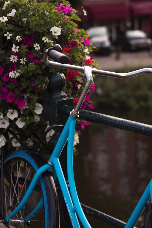 Free Bicycle Parked Beside a Flowering Plant Stock Photo