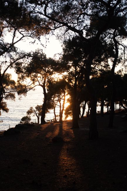 Peaceful sunset viewed through trees on Büyükada Island, İstanbul.