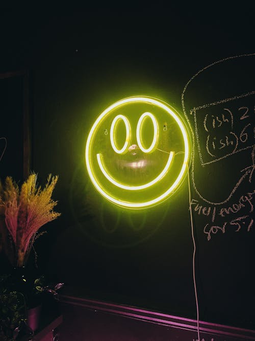 Smiling Face Neon Light