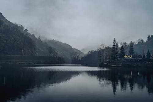 Ilmainen kuvapankkikuva tunnisteilla järvi, musta metsä