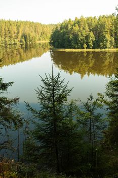 Tranquil lake reflecting lush forest trees, ideal for nature tourism.