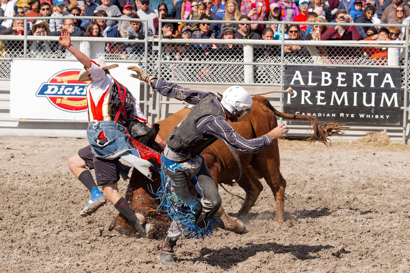 How Much Does A Bull Weight
