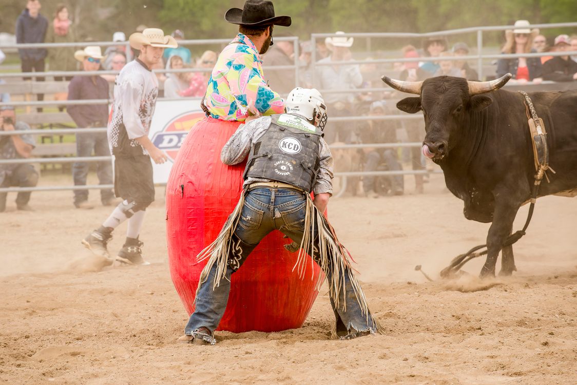 Cow Rodeo Cowboys Competing in a Rodeo · Free Stock Photo