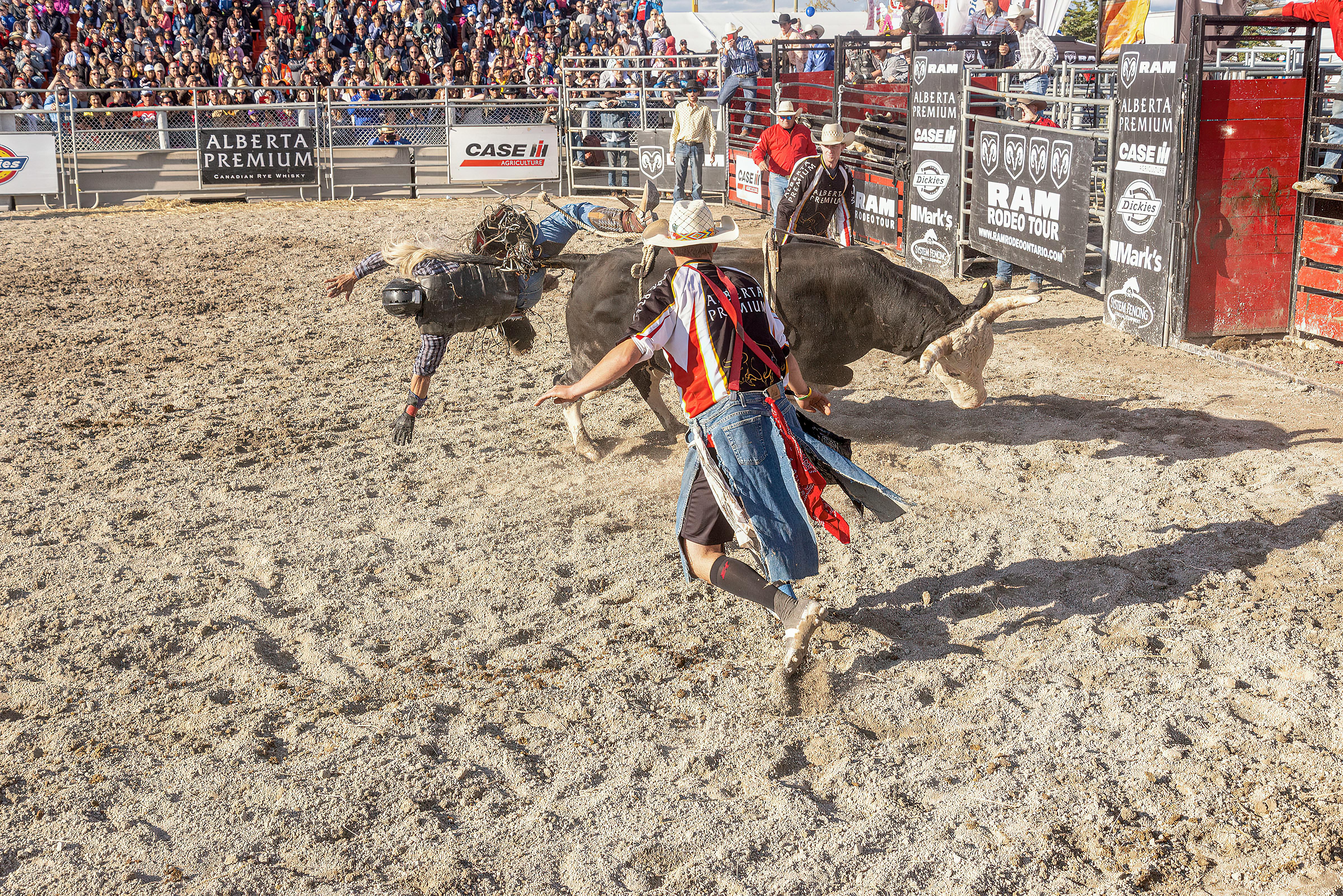 People Competing in a Rodeo · Free Stock Photo