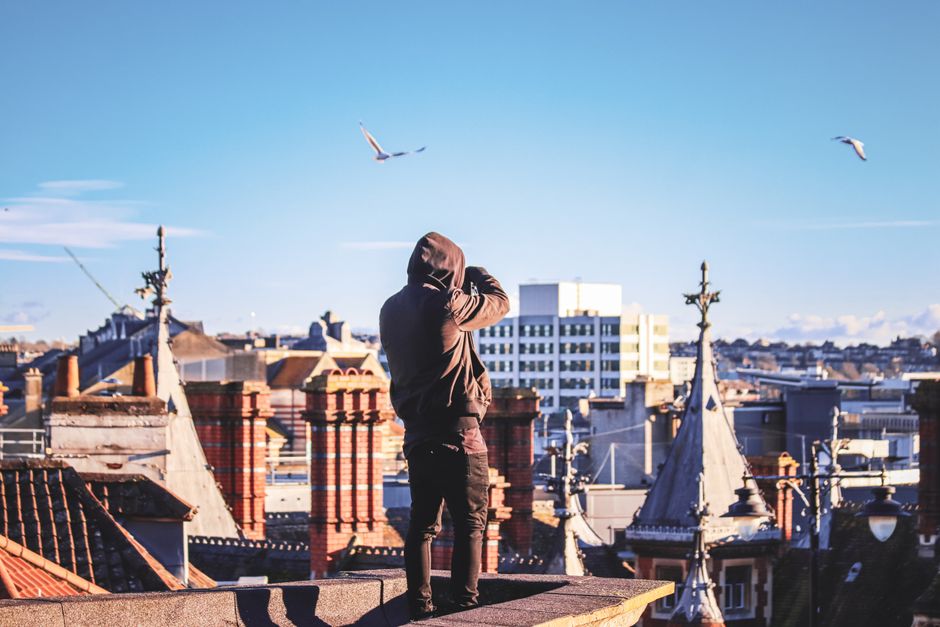 seagull on british rooftop