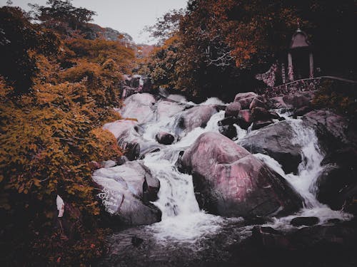 Foto Eines Wasserfalls, Umgeben Von Bäumen